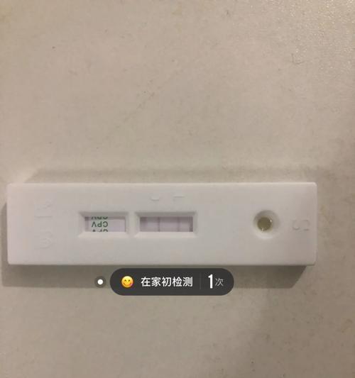 狗瘟血清（探究狗瘟血清的有效性及使用时机）(图1)