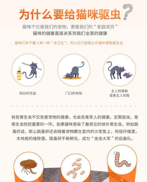 小猫驱虫滴剂使用后多久可以洗澡（关于小猫使用驱虫滴剂后的洗澡时间及注意事项）(图1)