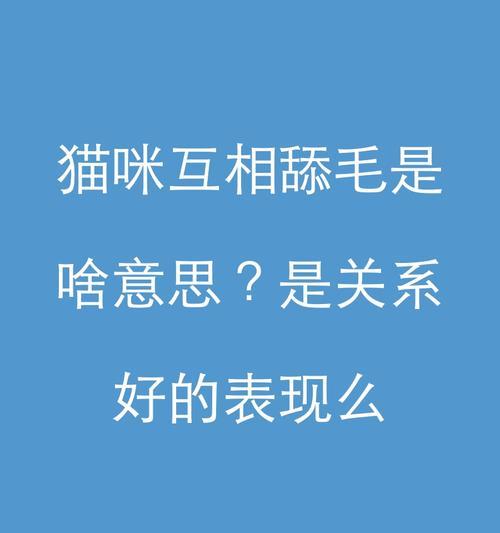 小猫舔肛门的频率及原因分析（探讨小猫舔肛