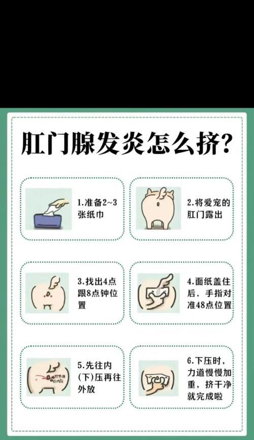 小猫舔肛门的频率及原因分析（探讨小猫舔肛门的行为习惯和健康问题）(图2)