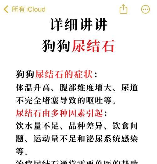 狗狗结石的治疗方法和药物选择（了解狗狗结石的发病原因，合理用药是关键）(图2)