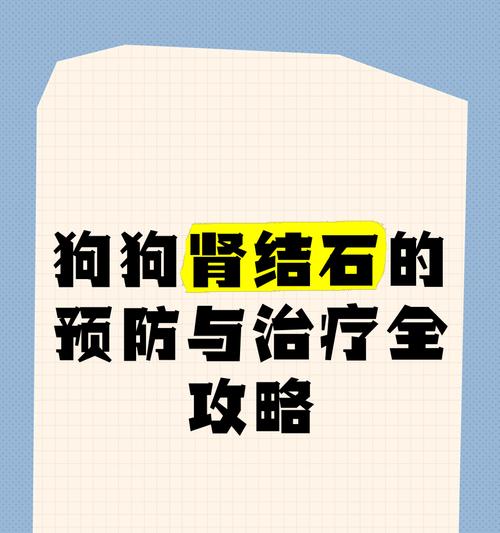 狗狗结石的治疗方法和药物选择（了解狗狗结石的发病原因，合理用药是关键）(图1)