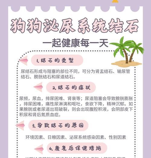 狗狗结石的治疗方法和药物选择（了解狗狗结石的发病原因，合理用药是关键）(图3)