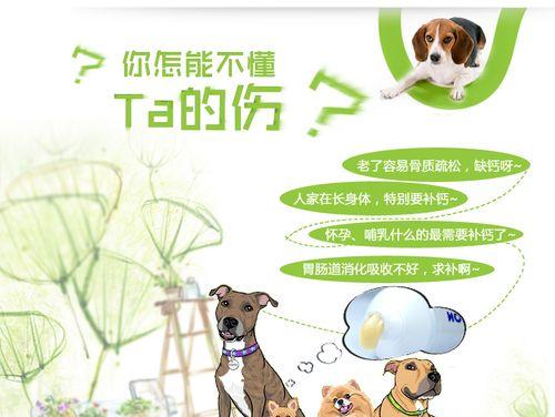 狗狗低血钙恢复时间及方法解析（宠物狗低血钙问题分析与解决方案探讨）(图1)