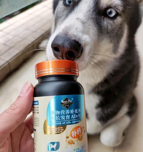 狗狗低血钙恢复时间及方法解析（宠物狗低血钙问题分析与解决方案探讨）(图3)