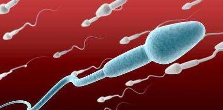 男子节育手术的恢复期及注意事项（男子节育手术恢复时间、禁忌症和注意事项）(图1)