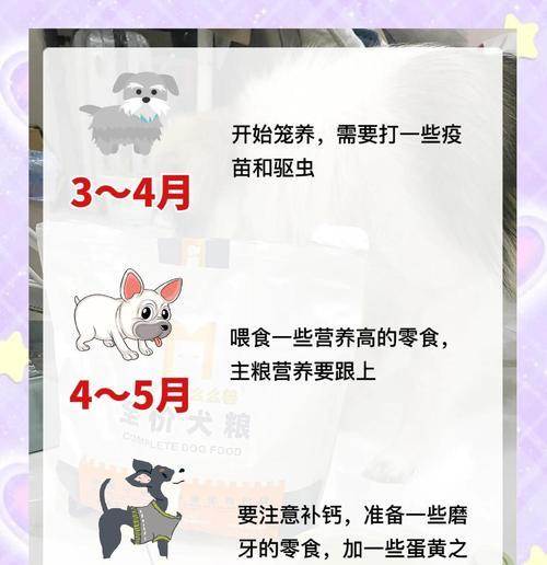 幼犬喂养手册（了解幼犬的饮食需求和适宜食物，让你的小狗健康成长）(图1)