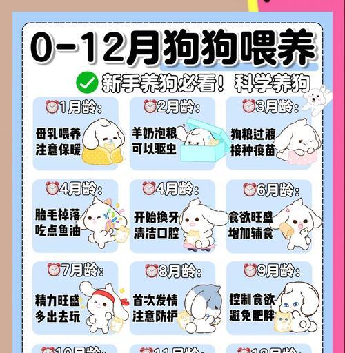 幼犬喂养手册（了解幼犬的饮食需求和适宜食物，让你的小狗健康成长）(图2)