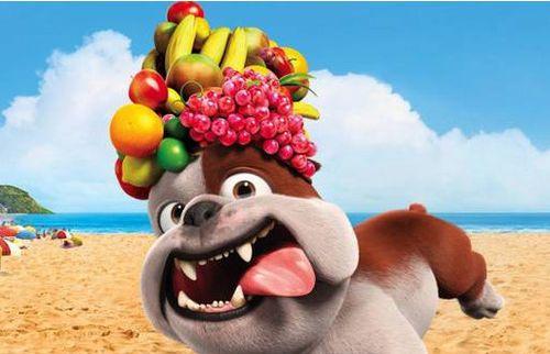 为什么狗不能吃人？（探究狗不能吃人的原因