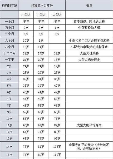 狗年龄之谜（解析狗年龄快速衰老的原因与影响）(图2)
