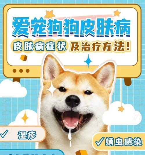 治疗狗狗真菌皮肤病的饮食指南（探索营养与天然食品，有效缓解狗狗真菌皮肤病）(图2)