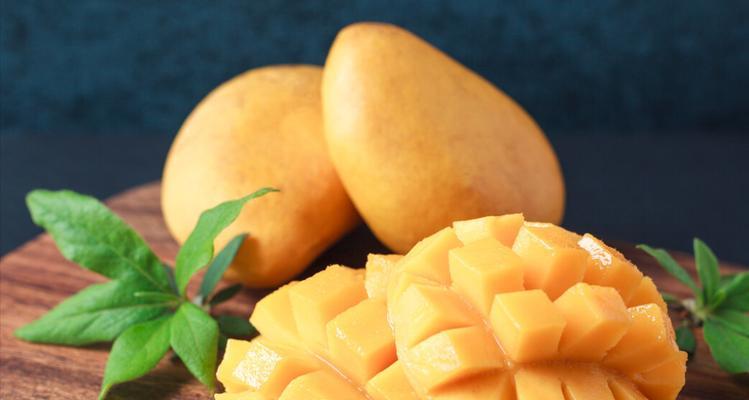 泰迪宝宝的健康饮食(为宠物泰迪提供营养丰富的水果,让它快乐成长)(图3) 泰迪宝宝的健康饮食(为宠物泰迪提供营养丰富的水果,让它快乐成长)(图3)