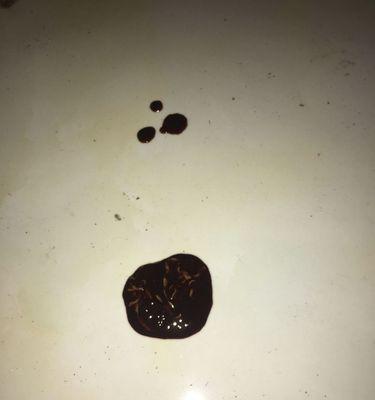 狗狗尿液的颜色对健康的影响（了解狗狗尿液颜色的重要性及其健康暗示）(图1)