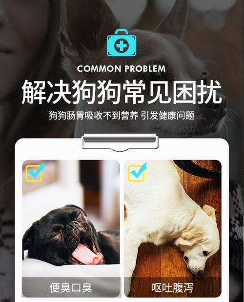 博美牙齿发黄还口臭的原因及解决方法（博美牙齿失去光泽，口气难闻的问题该如何解决？）(图2)