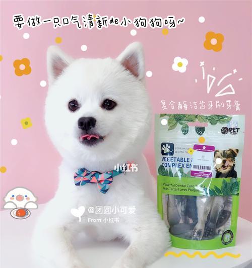 博美牙齿发黄还口臭的原因及解决方法（博美牙齿失去光泽，口气难闻的问题该如何解决？）(图1)